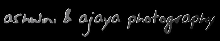 Click on the photo to enter website